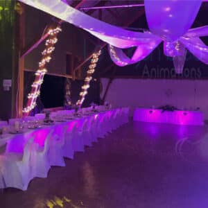 Plafond lumineux