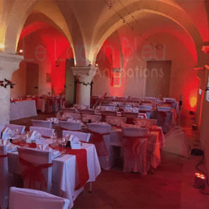ECLAIRAGE-SALLE-7_Img_Produits_LagonBleuAnimations