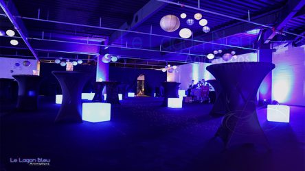 Inauguration Carrefour Boisseuil espace VIP éclairage tour de salle